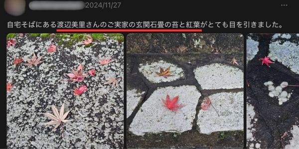 渡辺美里実家