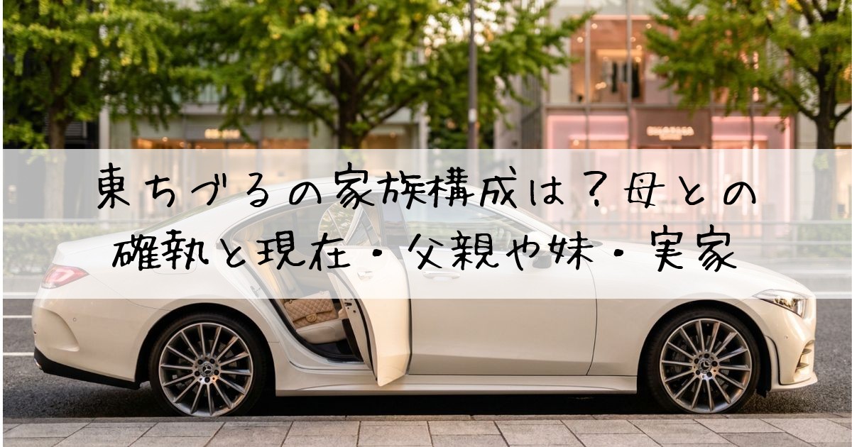 東ちづる母確執