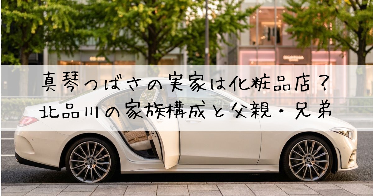 真琴つばさ実家化粧品