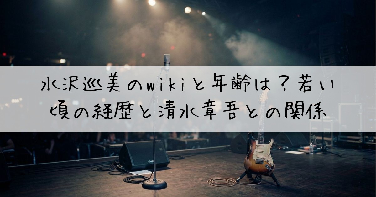 水沢巡美wiki