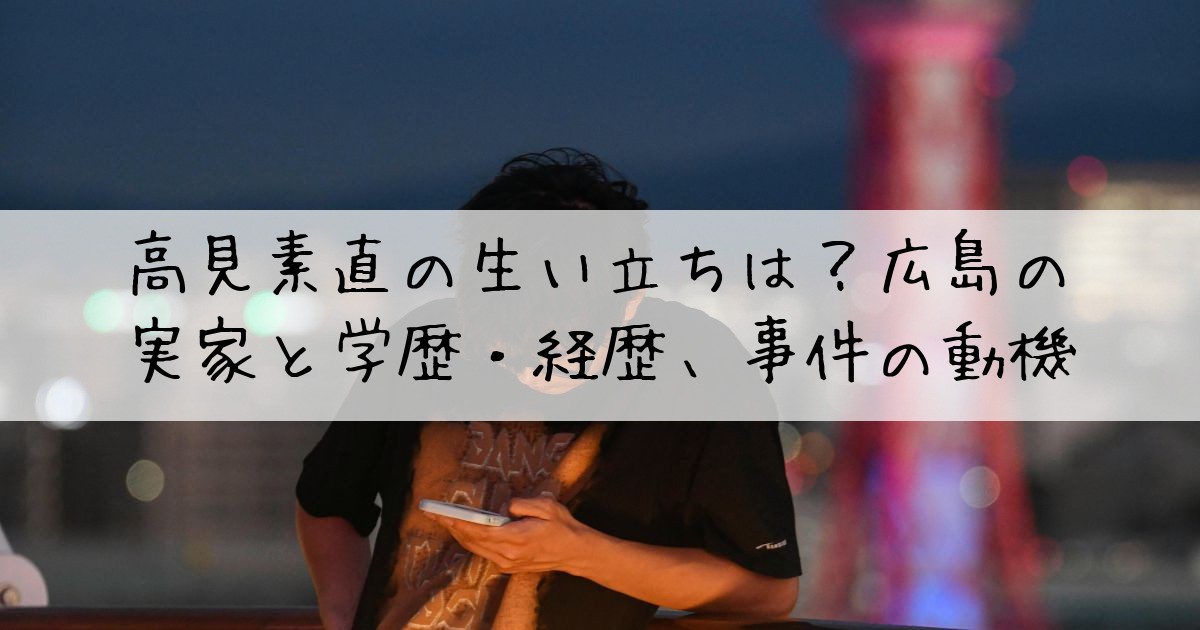高見素直生い立ち