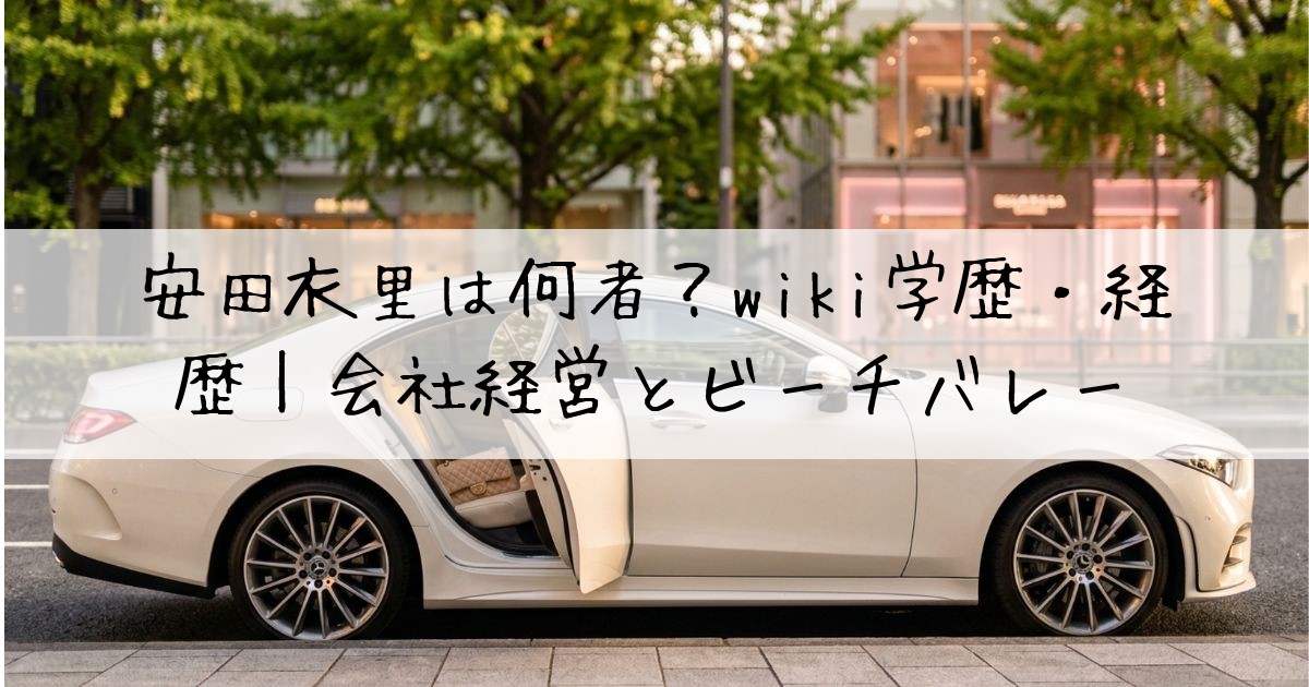 安田衣里何者