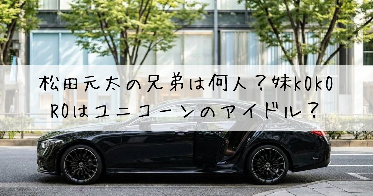 松田元太兄弟何人