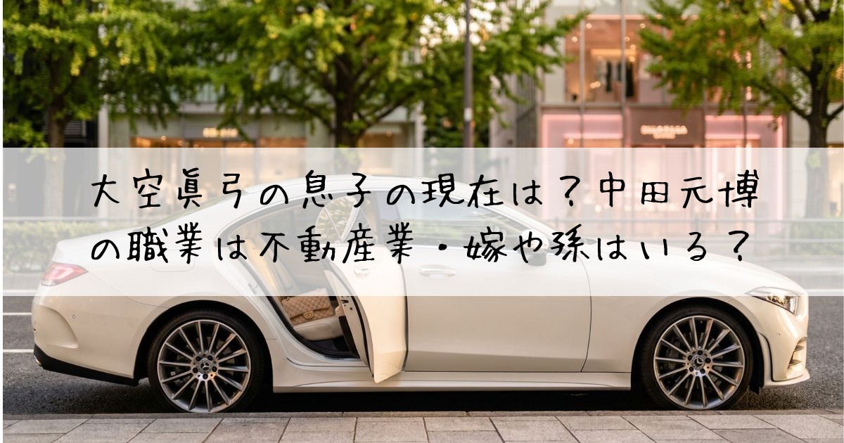 大空眞弓息子現在